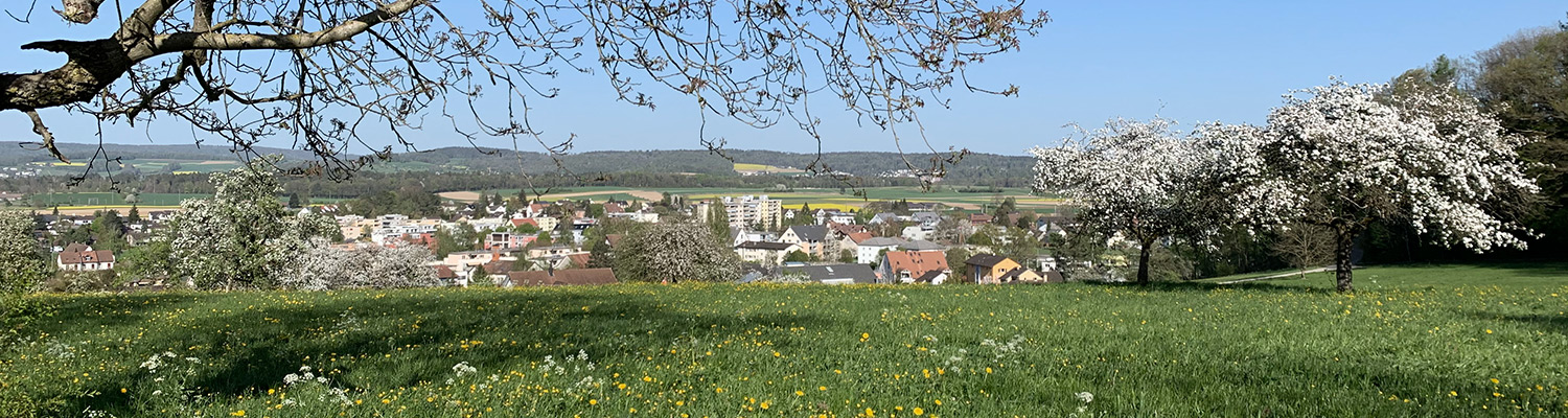 Lernberatung und Coaching Susanne Jeggli
